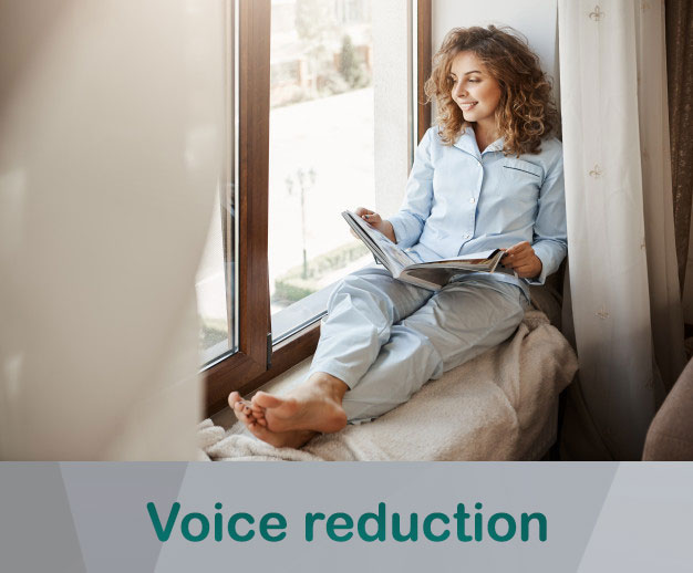 Best windows to voice reduction